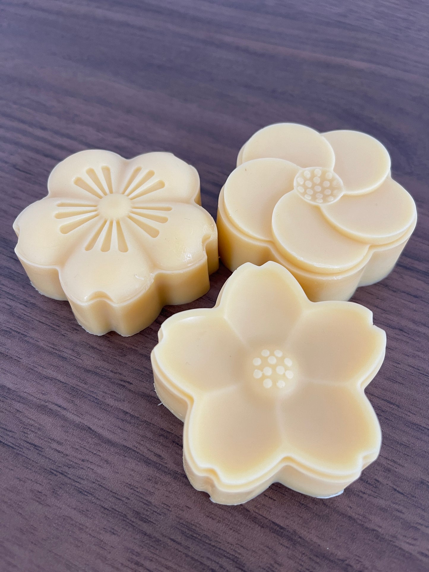 
                  
                    Workshop  - Lotion Bar (Algarve Loulé)
                  
                