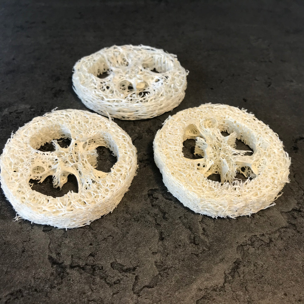 
                  
                    LOOFAH/LUFFA ORGANIC SPONGE
                  
                