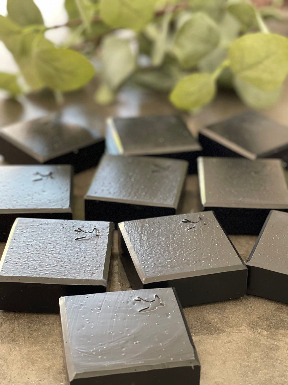 FACIAL SOAP ACTIVATED CHARCOAL & NETTLE